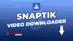SnapTik TikTok Video Downloader