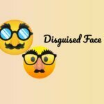 Disguised Face
