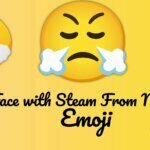 Face with Steam from Nose Emoji