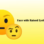 Face with Raised Eyebrow emoji