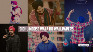 sidhu moose wala hd wallpapers Archives - Heatfeed