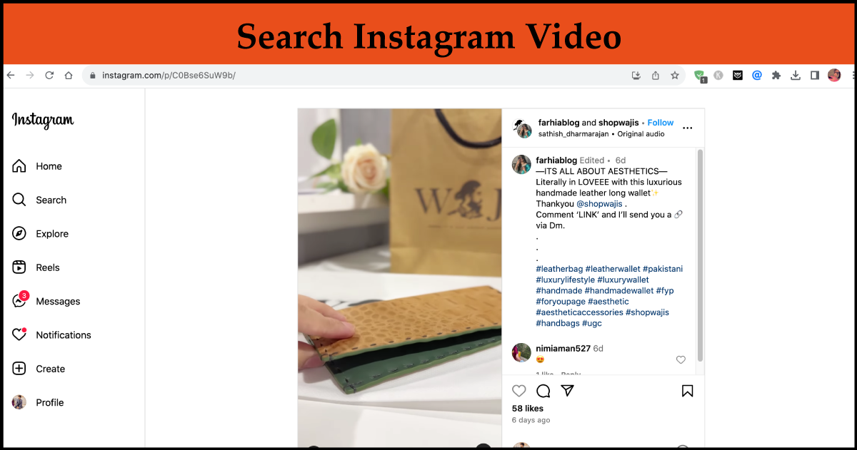 search instagram videos
