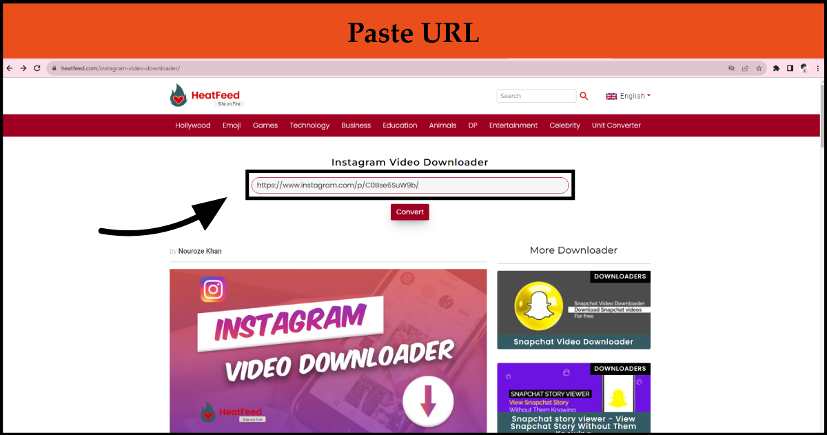 paste Instagram video link