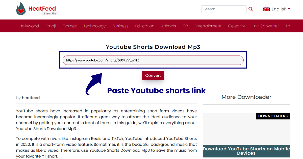 paste youtube shorts url