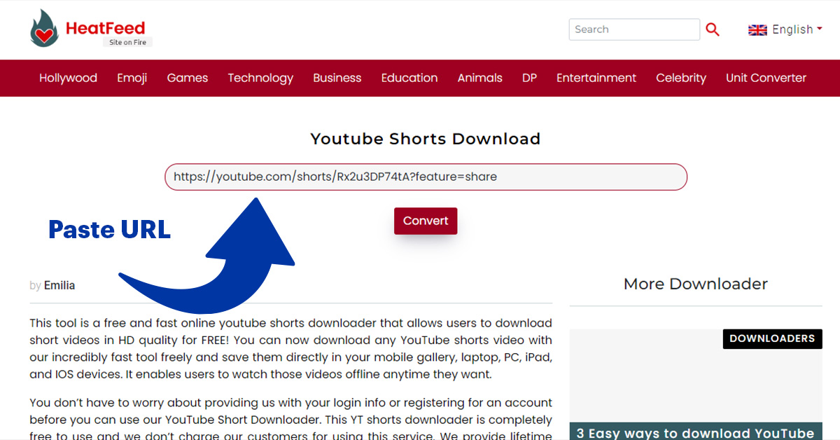 paste link in sss youtube shorts downloader