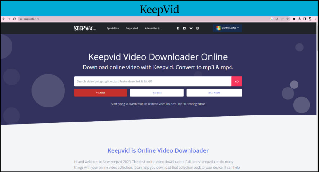 KeepVid youtube downloader